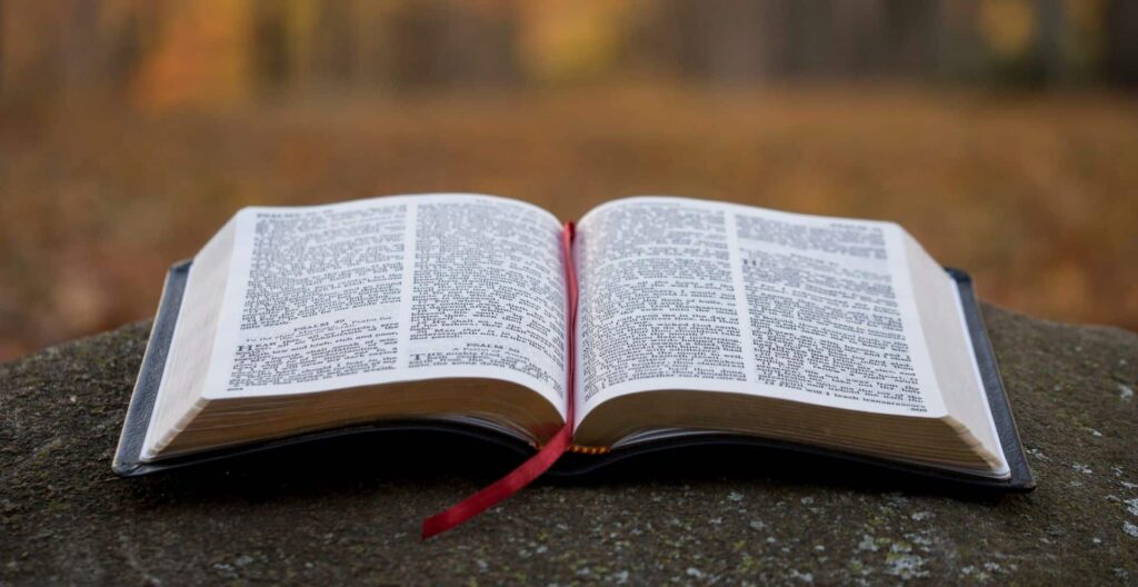 30 Encouraging Bible Verses to Read in the Morning