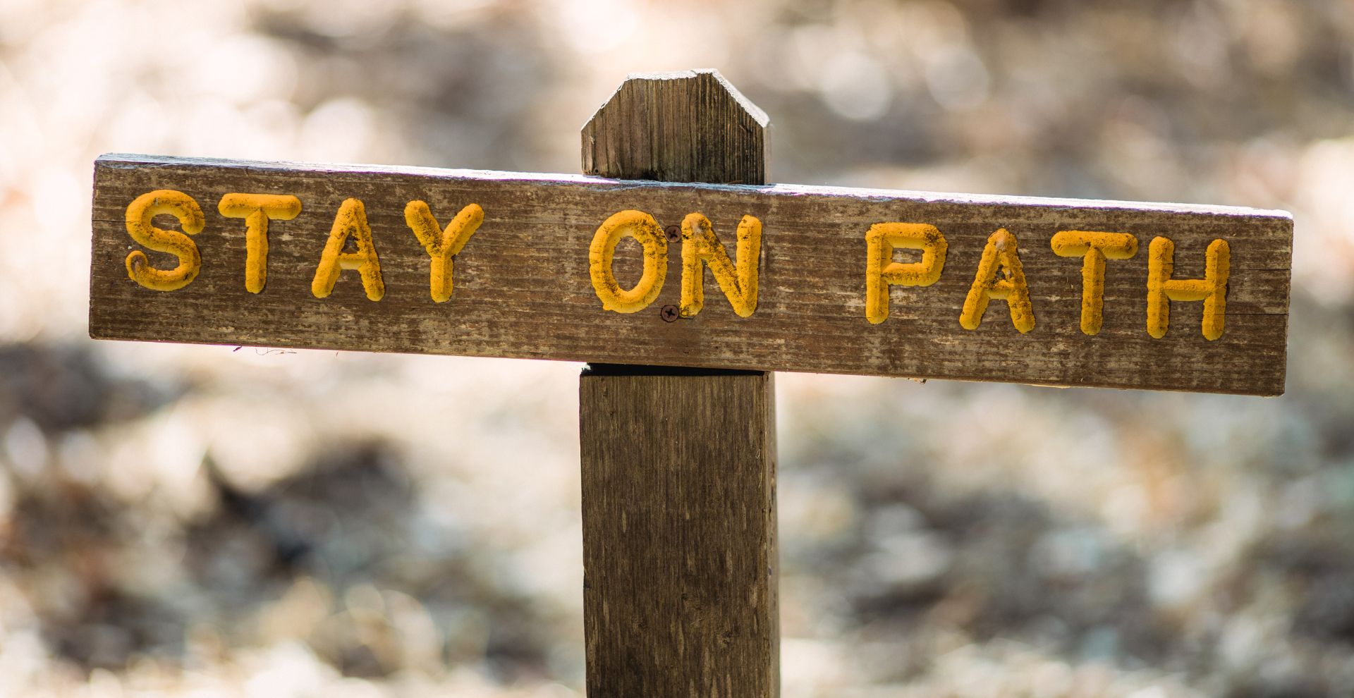 Top 10 Bible Verses to Strengthen Hope in Christ