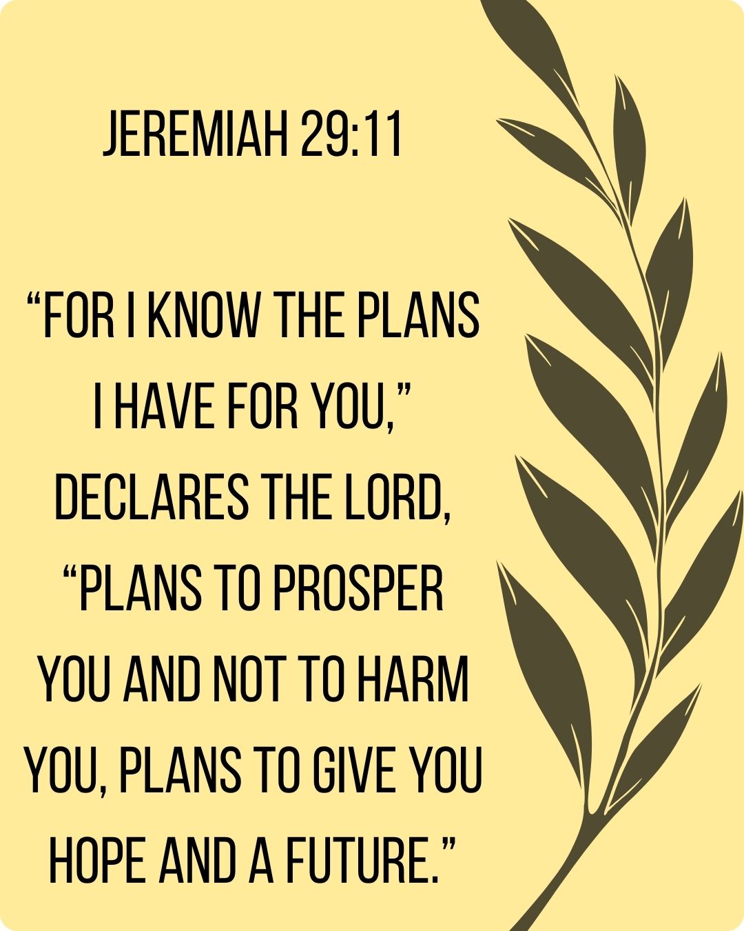 Jeremiah 2911 