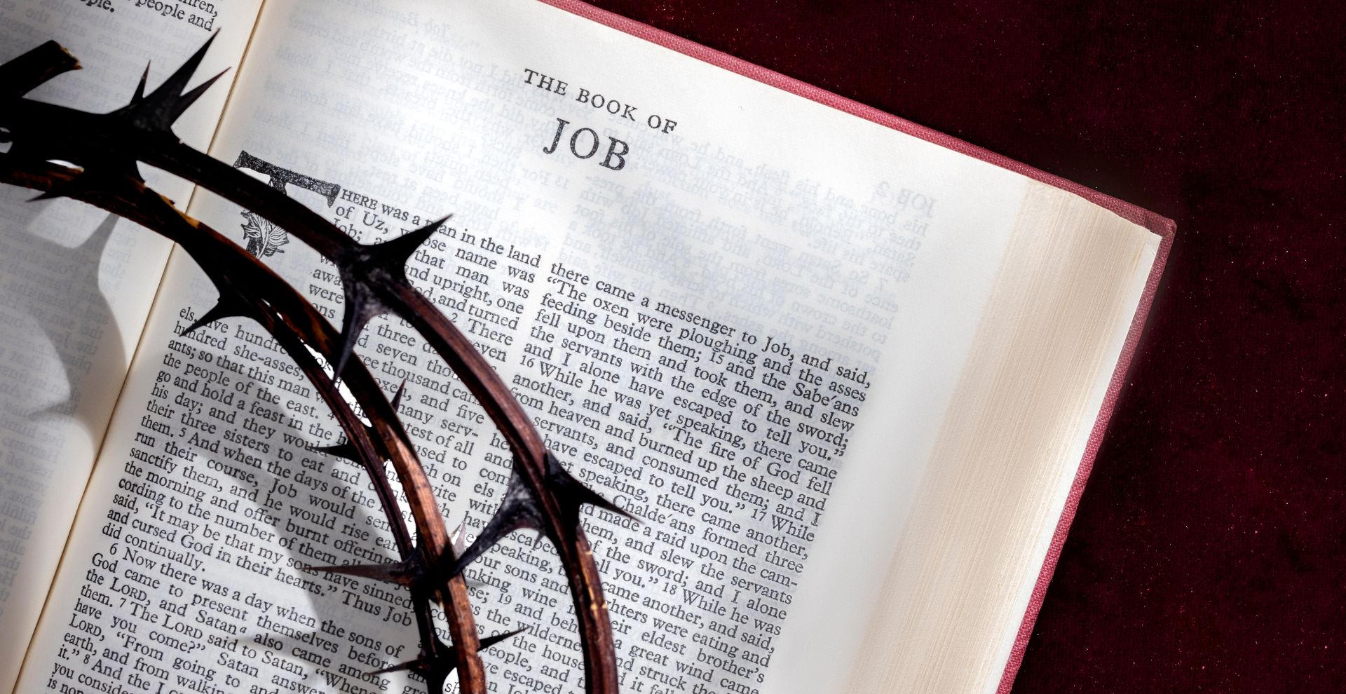 What Does the Bible Say About the Second Coming of Jesus Christ