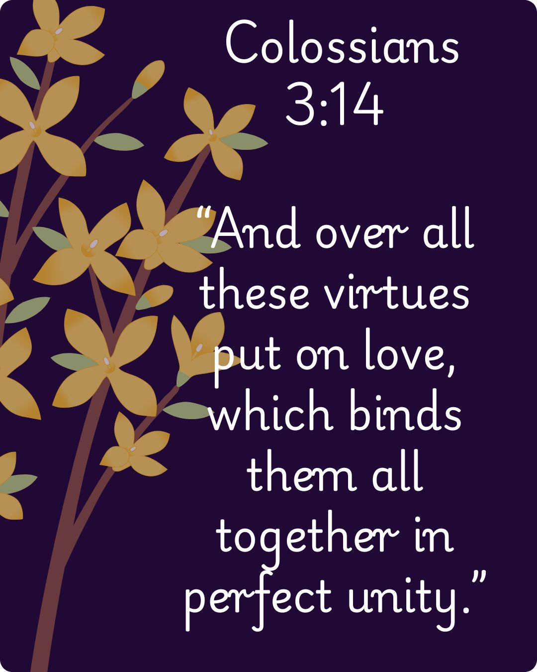 Colossians 3:14