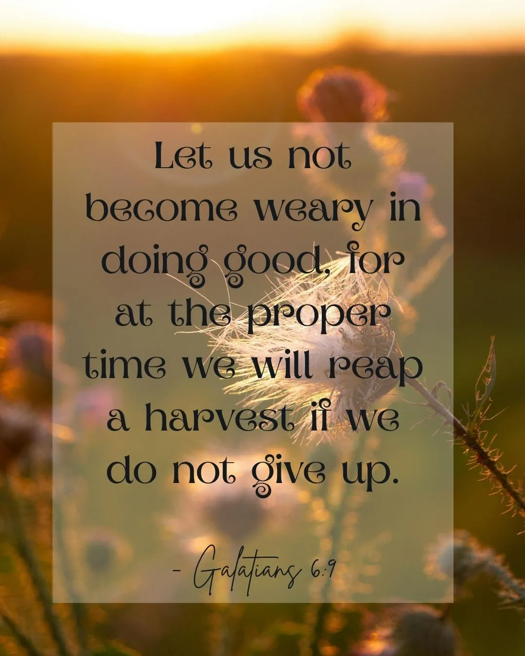 7 Short Bible Verses to Read When You Feel Like Giving Up